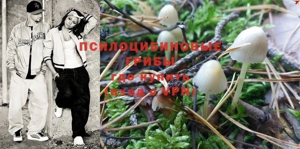 индика Гусиноозёрск