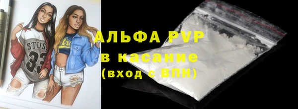 индика Гусиноозёрск