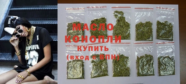 индика Гусиноозёрск
