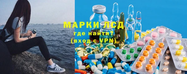 индика Гусиноозёрск
