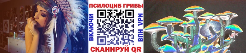 Галлюциногенные грибы мицелий Сланцы