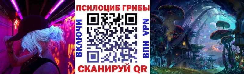 Псилоцибиновые грибы мухоморы  Купить  Сланцы 