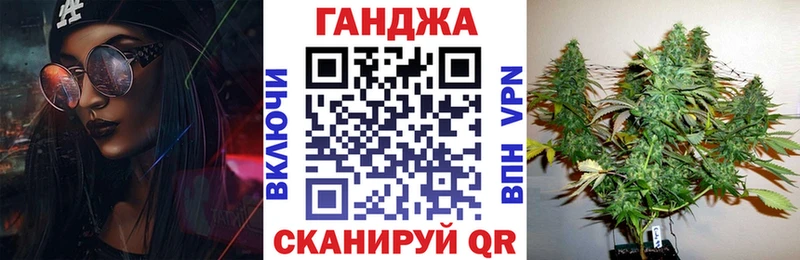 Купить закладки  Сланцы  Конопля сатива 